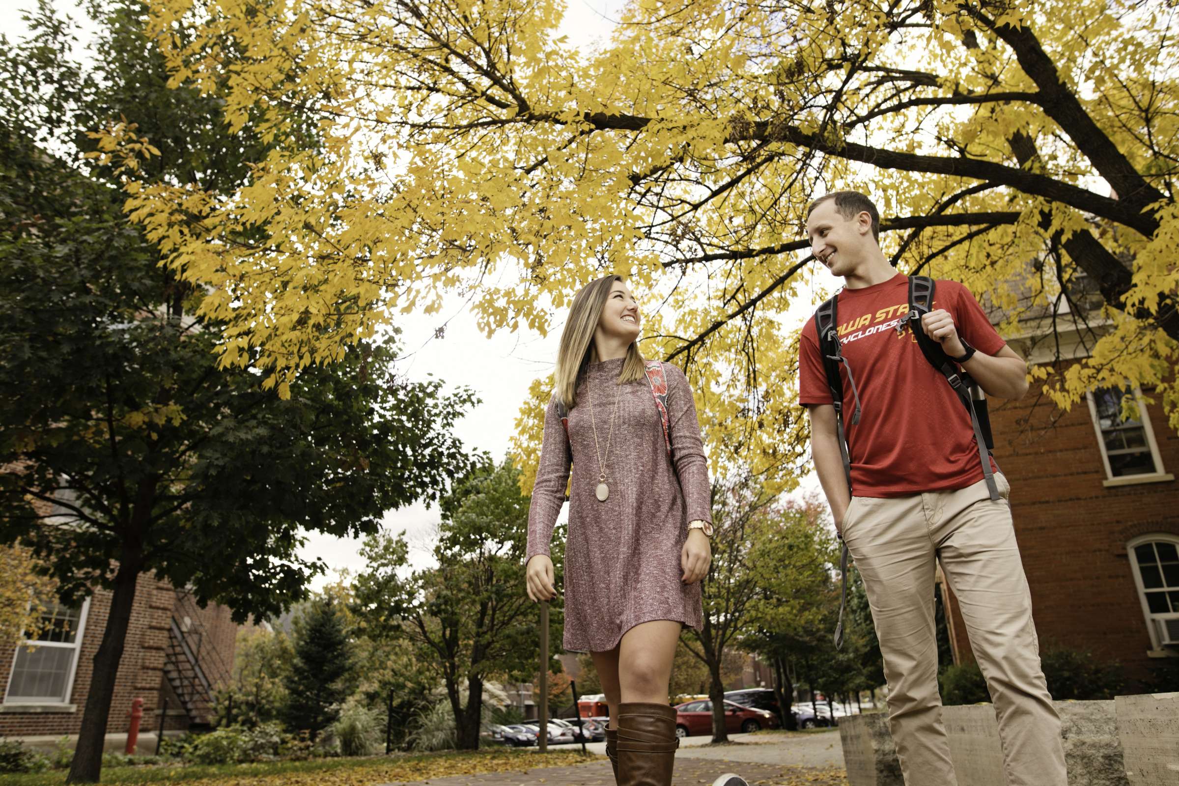 Students Walking and Yellow Tree