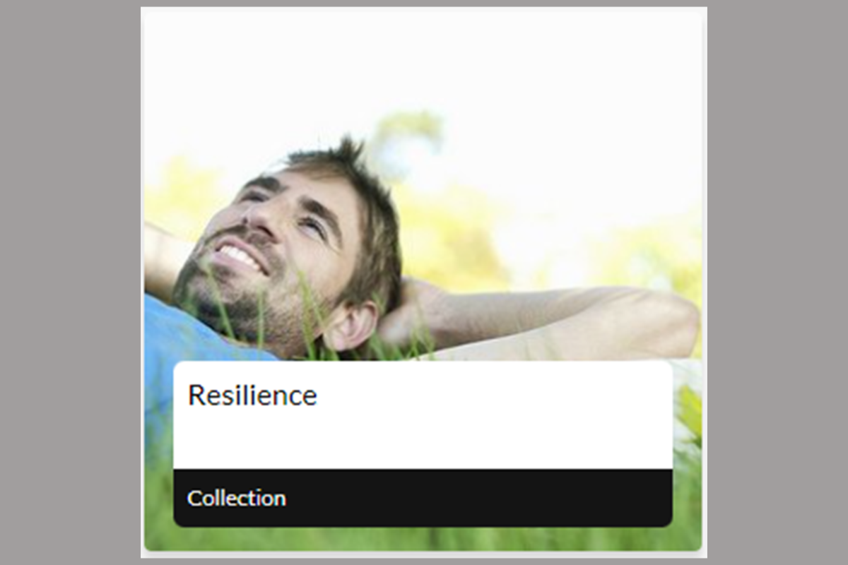 resilience adventure2